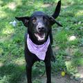 Click for more info